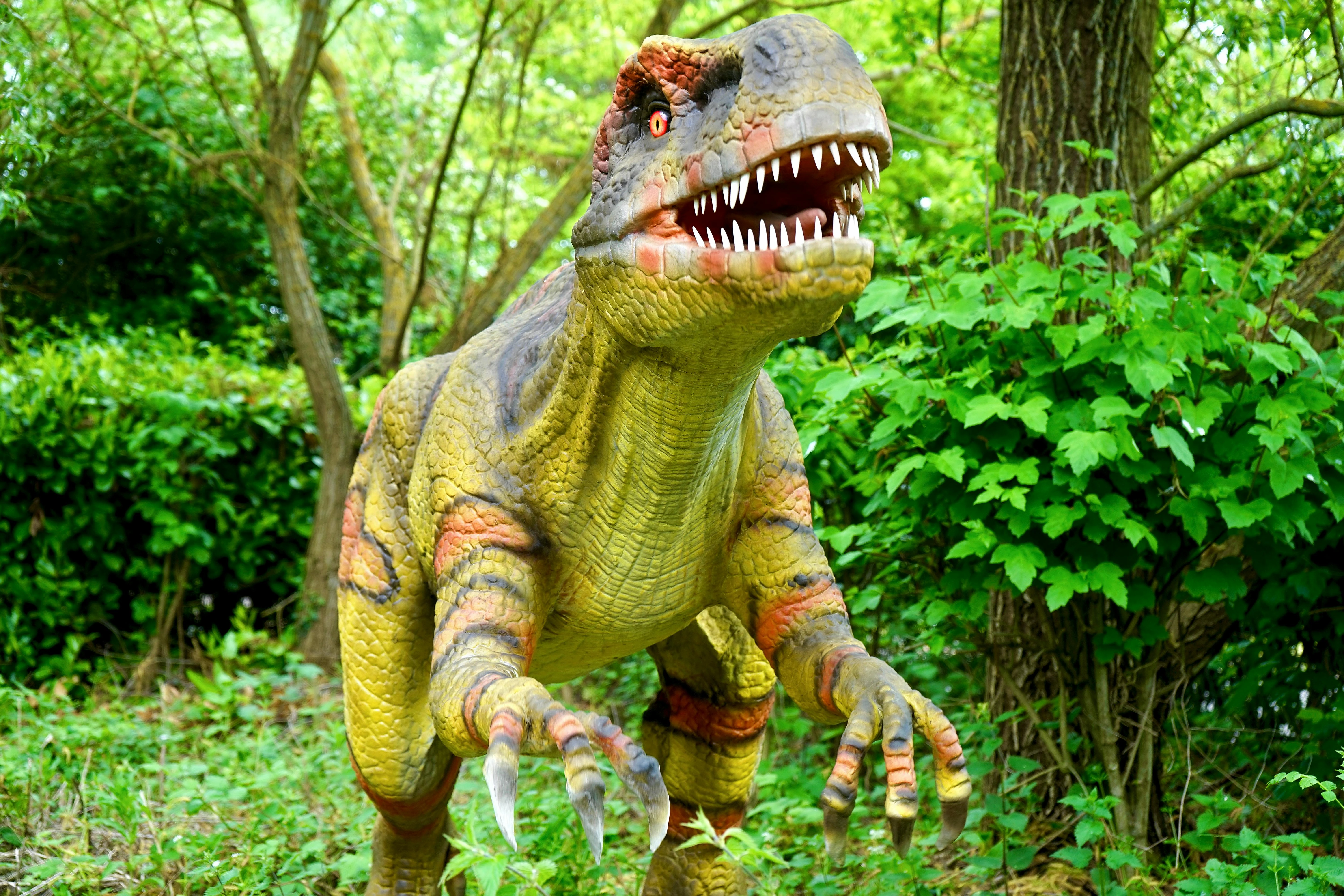 Pet Dinosaur